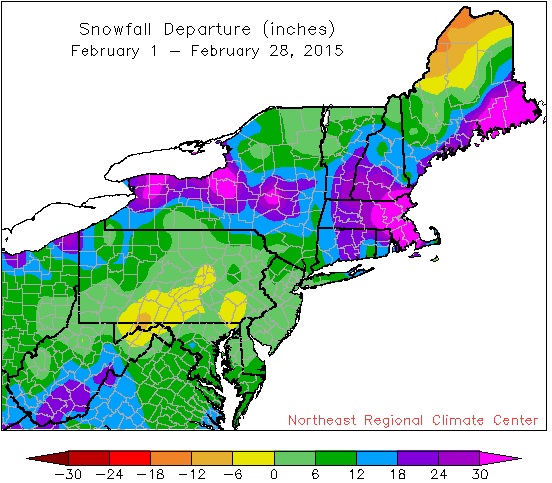 Winter Kicks into High Gear: January and February 2015