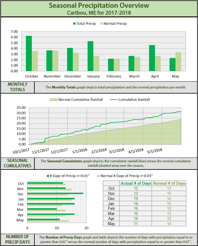 Daily Rainfall Chart