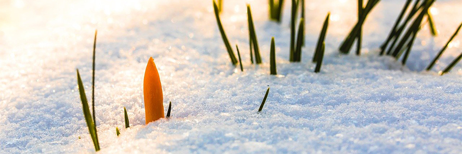 Outlook For The Rest Of Winter